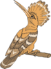 Perched Hoopoe Looking Back Clip Art